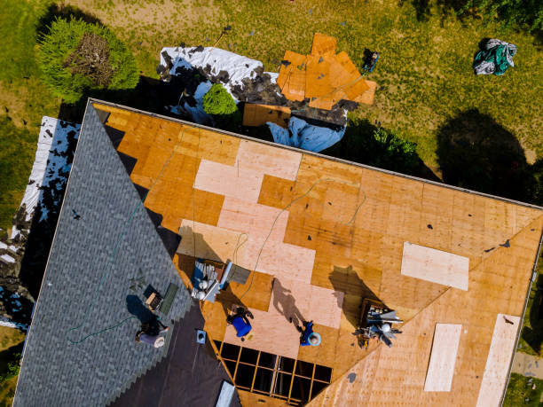 Best Residential Roofing Contractor  in Rossville, IN