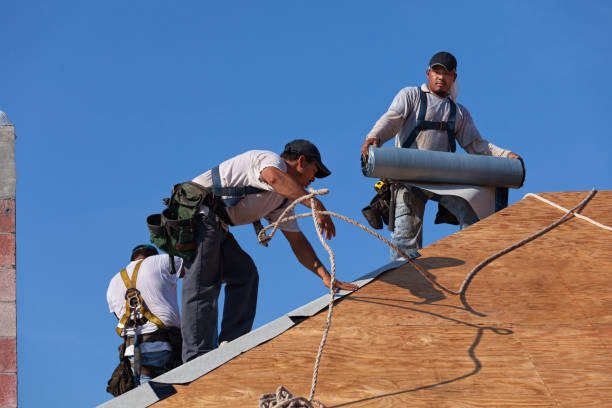 Best Storm Damage Roof Repair  in Rossville, IN