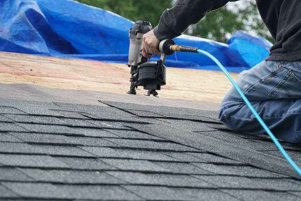 Best Roofing Contractor Near Me  in Rossville, IN