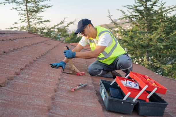 Best Residential Roof Replacement  in Rossville, IN