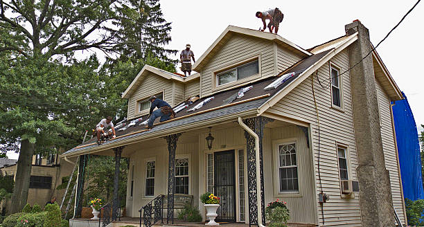 Best Roof Waterproofing Services  in Rossville, IN