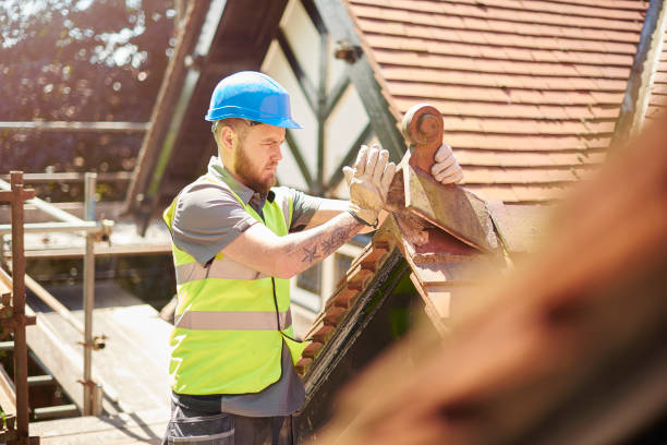 Professional Roofing Contractor in Rossville, IN